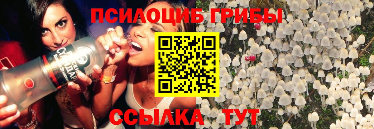 Галлюциногенные грибы MAGIC MUSHROOMS Новозыбков