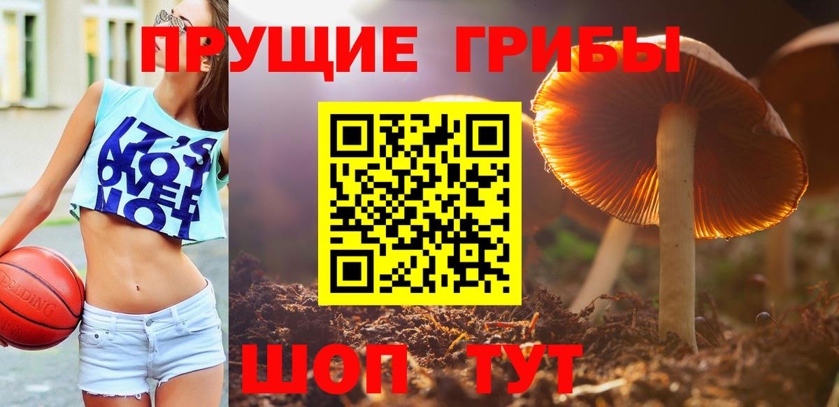 Галлюциногенные грибы Cubensis  Вход с VPN  Новозыбков  Псилоцибиновые грибы Psilocybe 